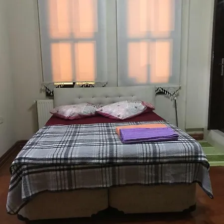 Elmira Bursa