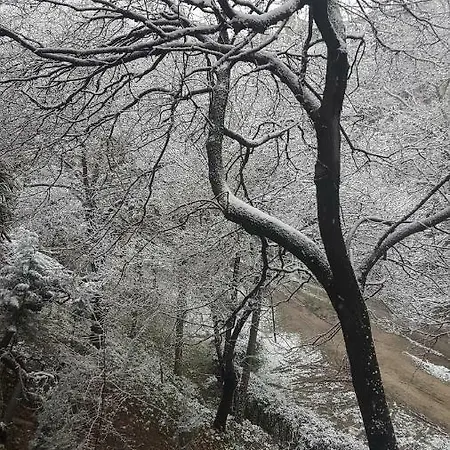 Appartement Elmira Bursa